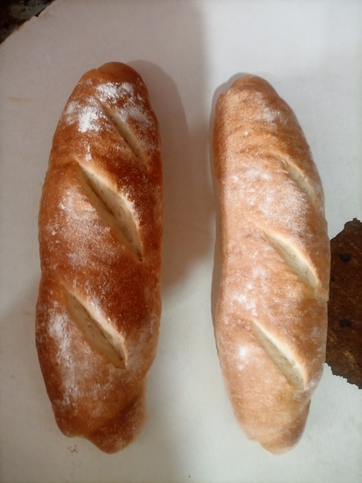 Roger Snack — photograph 5