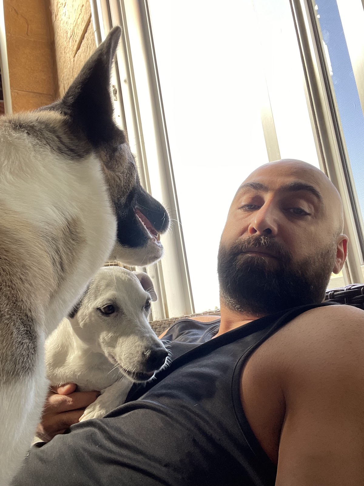 Farah Residence — photograph 5