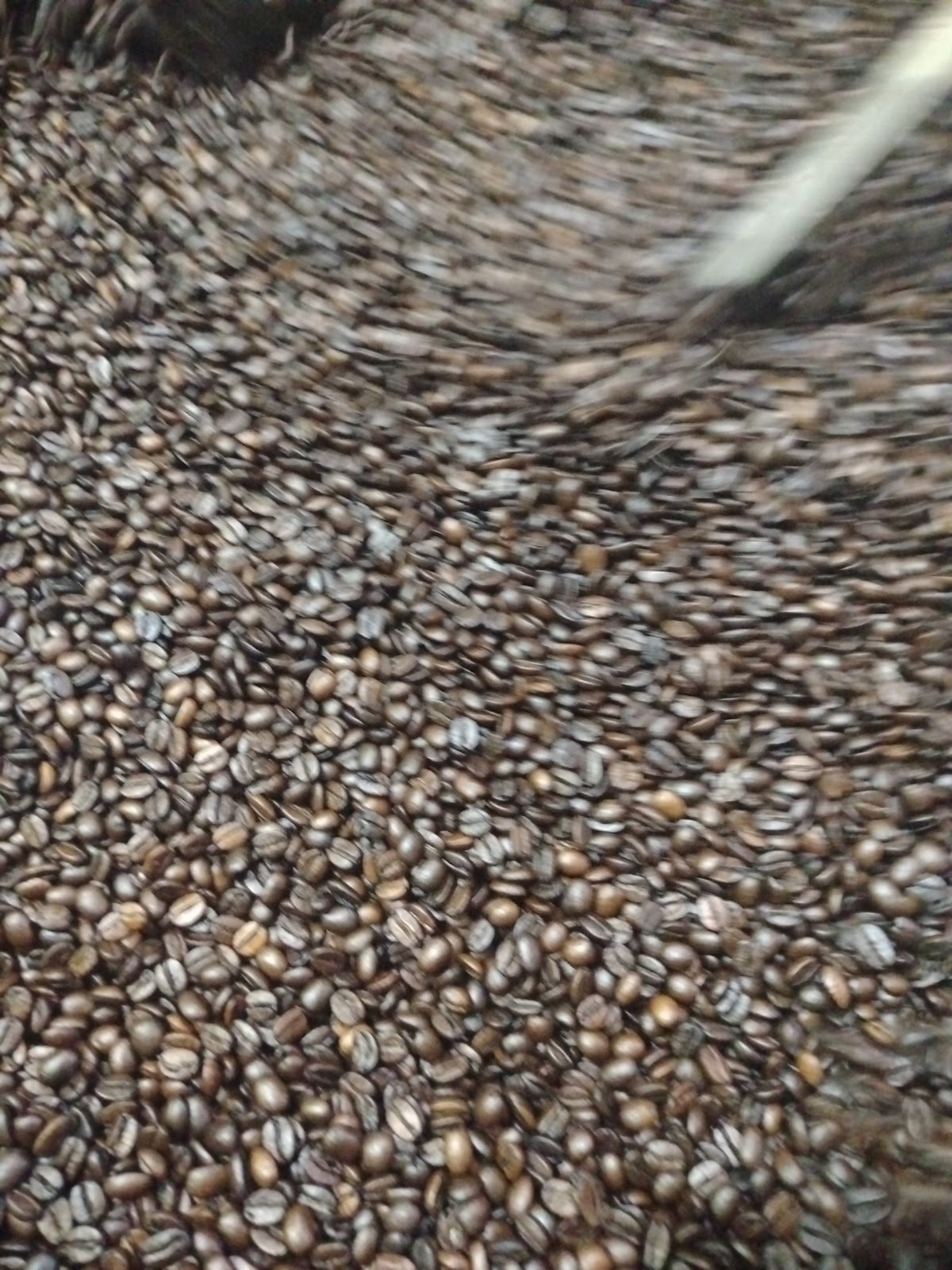 Coffee Daouk — photograph 3