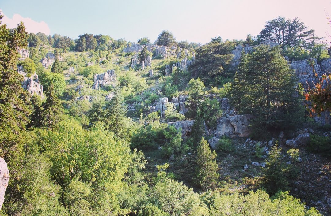 Tannourine Cedars Reserve — photograph 2
