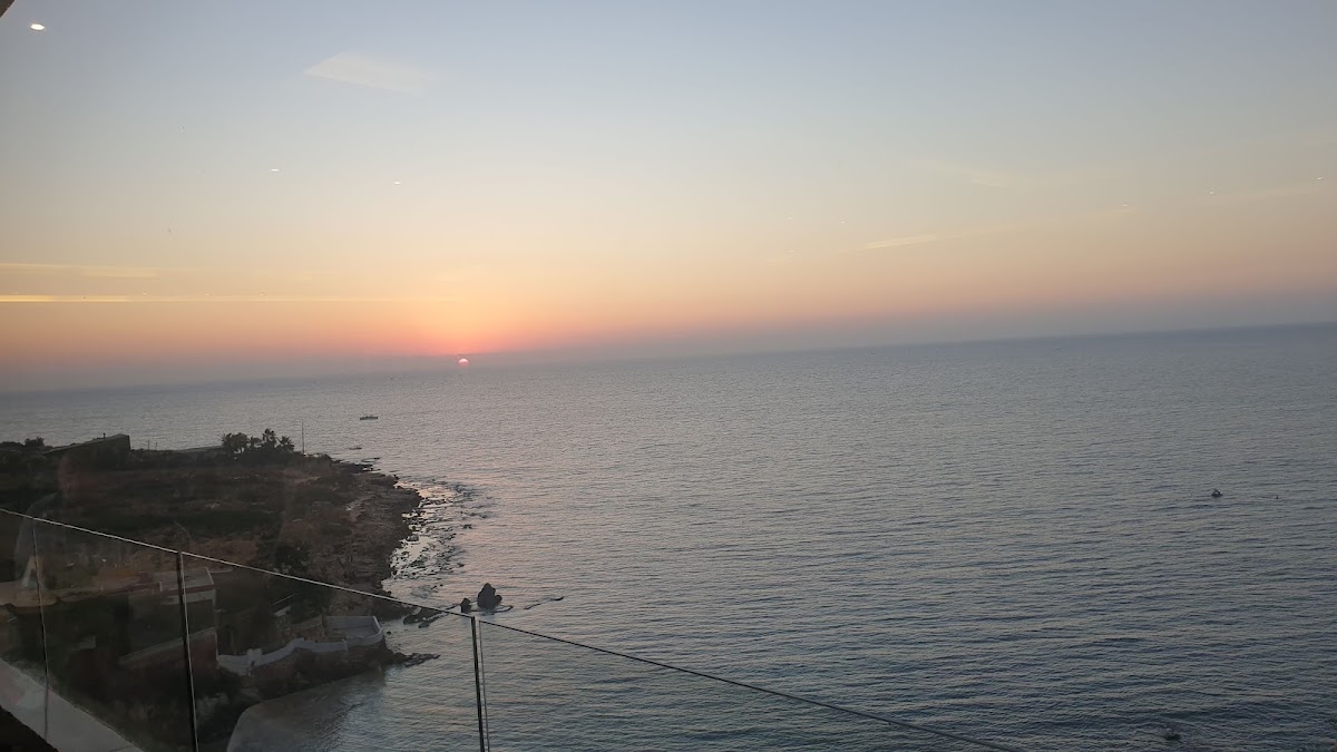 Al Faysal - Restaurant — photograph 5