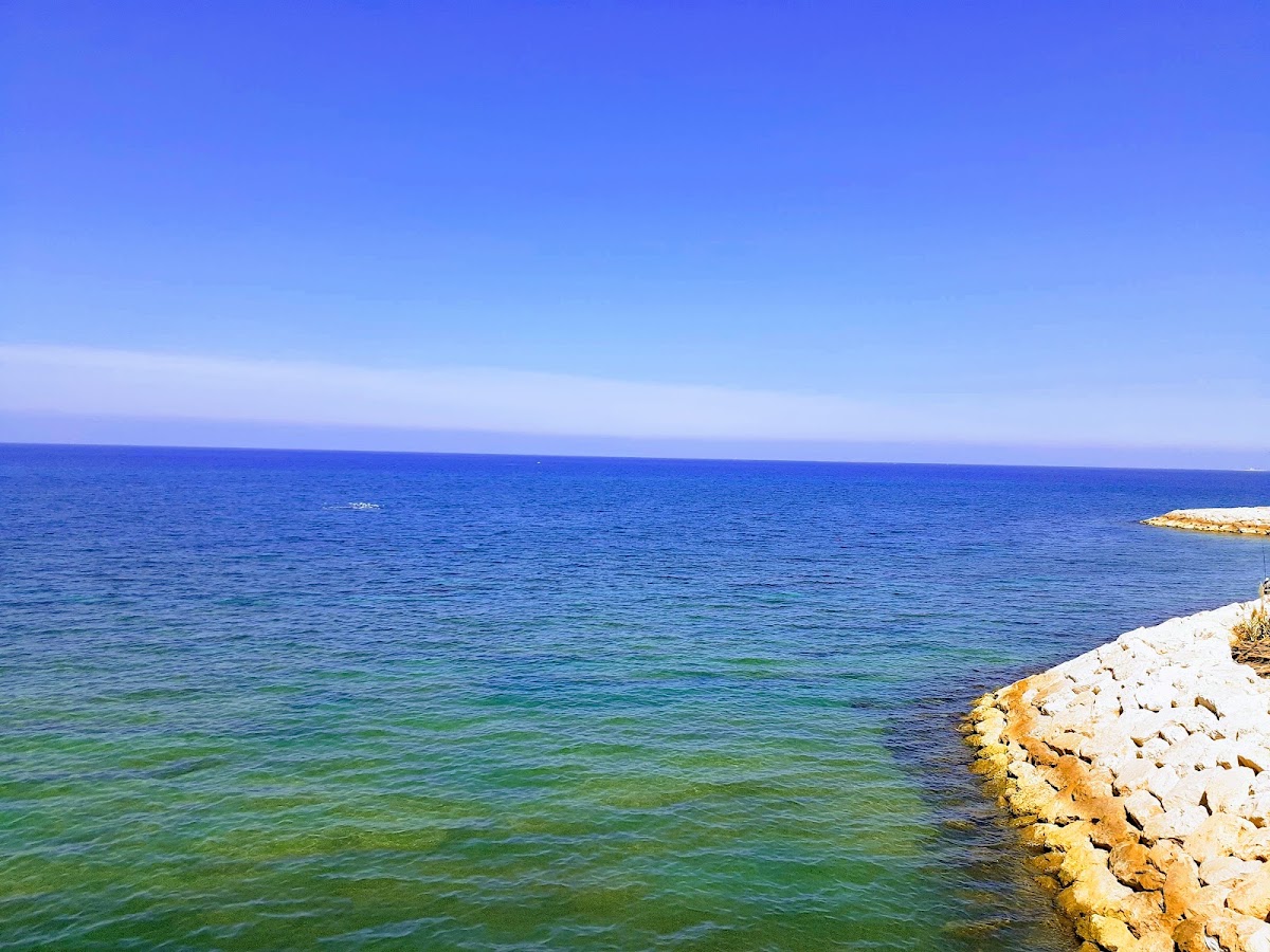 Sea Café — photograph 3
