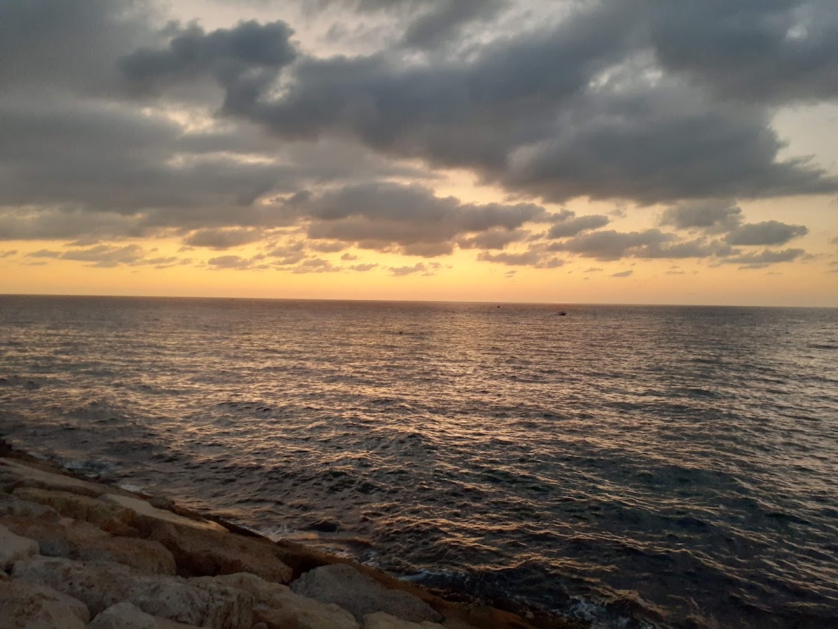 Sea Café — photograph 6