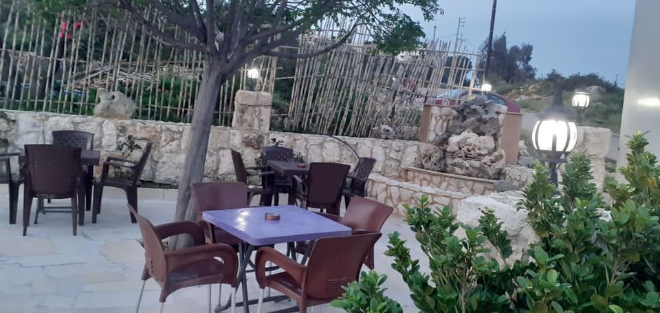 Cafe Alamir