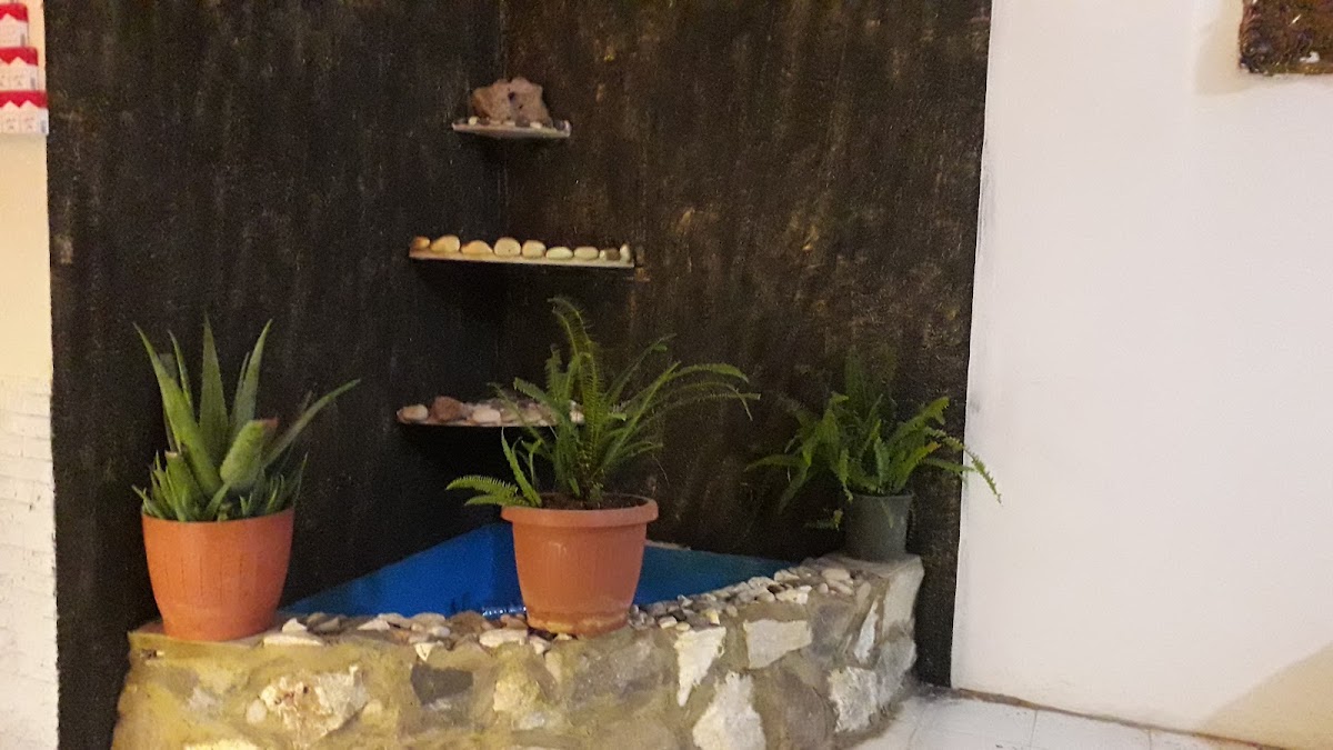 Cafe Shabab — photograph 4