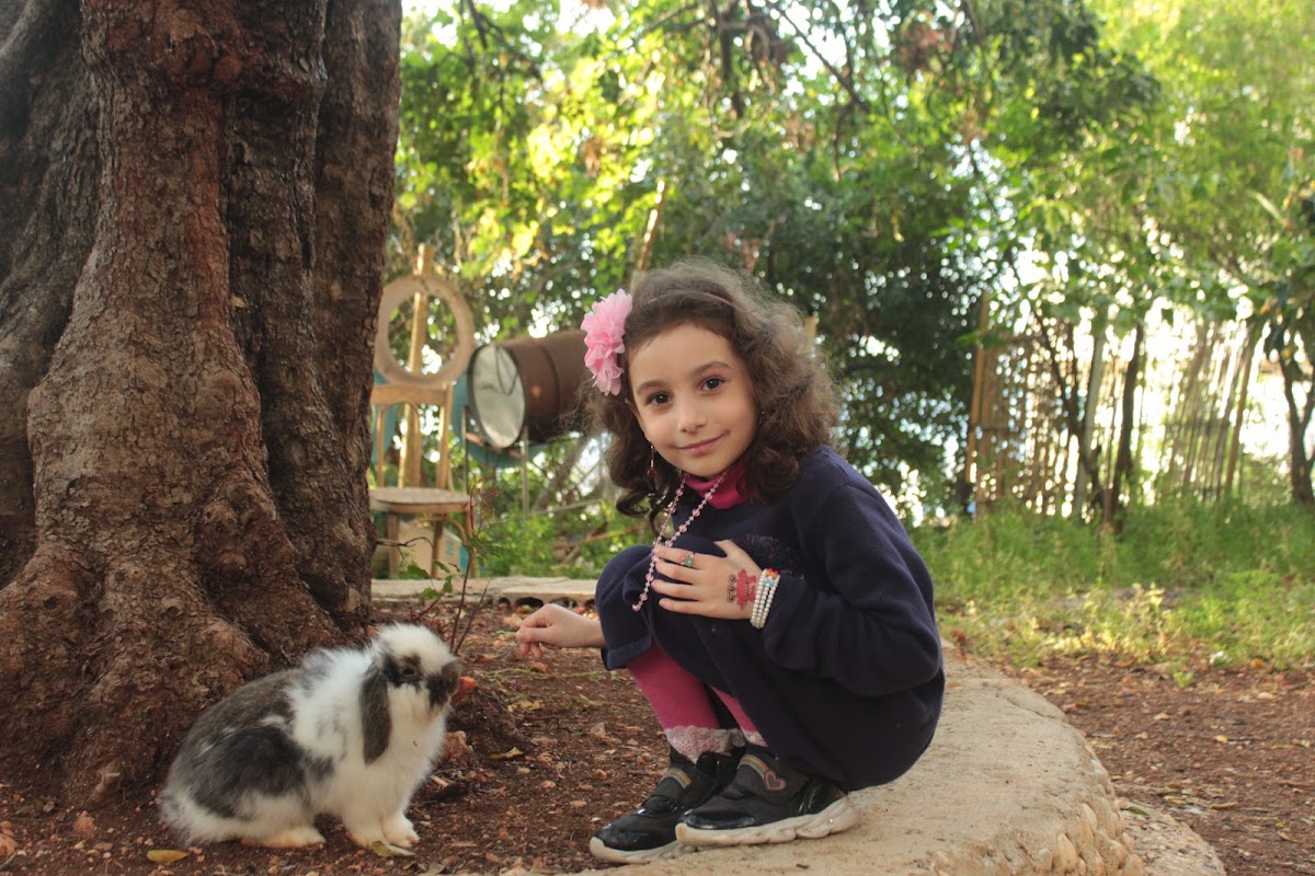 BUNNY FARM — photograph 6