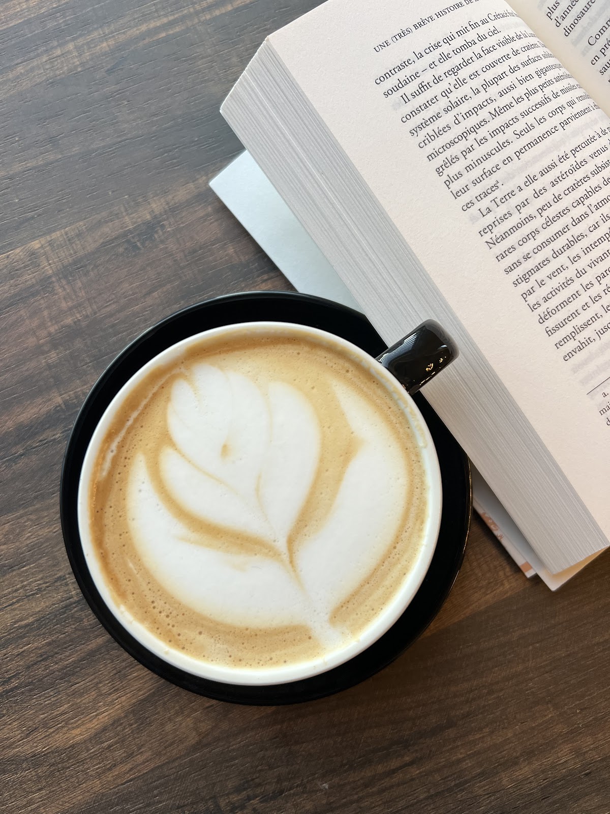 Aura Coffee shop — photograph 4