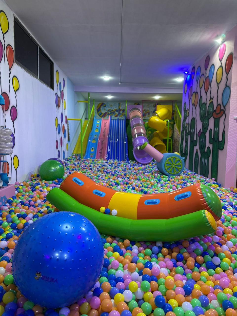Cactu Funzone Playground