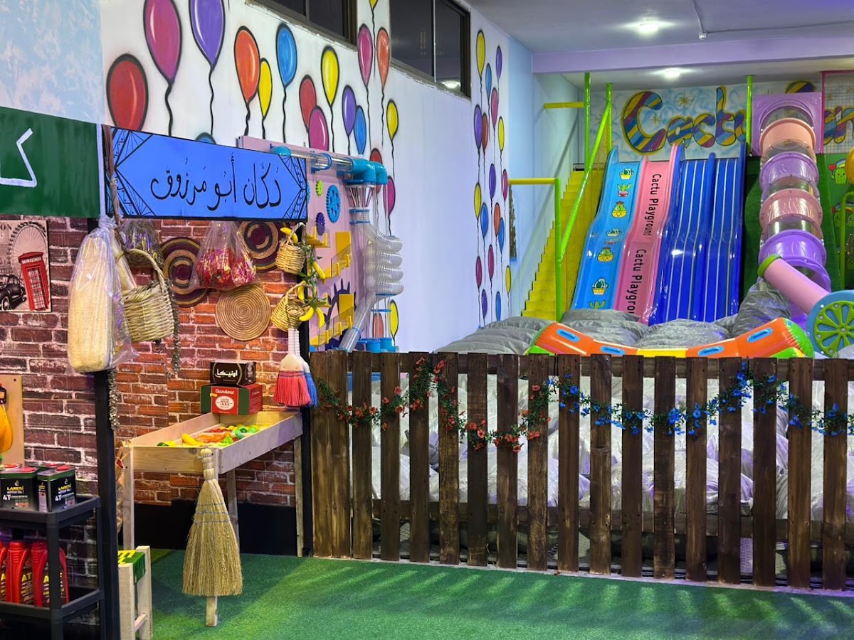 Cactu Funzone Playground — photograph 6