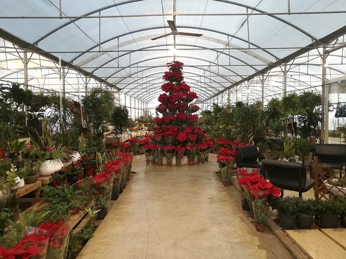 Al Yasamina Landscapes