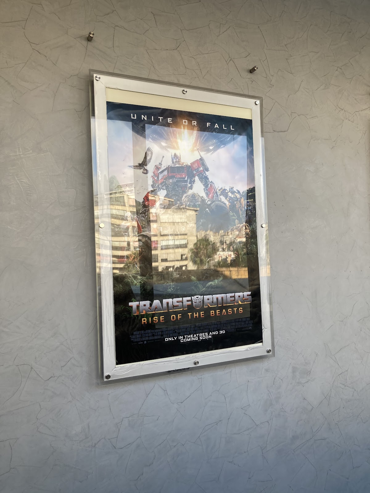 Grand Cinemas — photograph 3