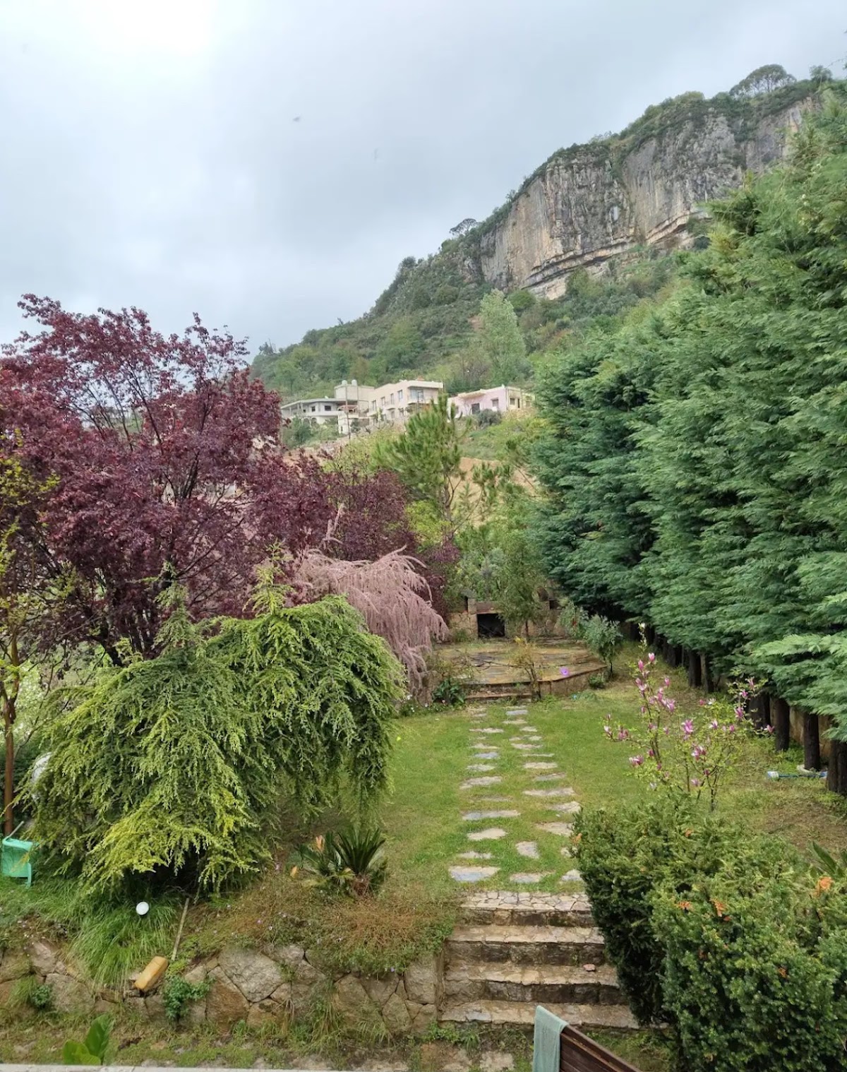 Beit Amoula Guest House — photograph 4