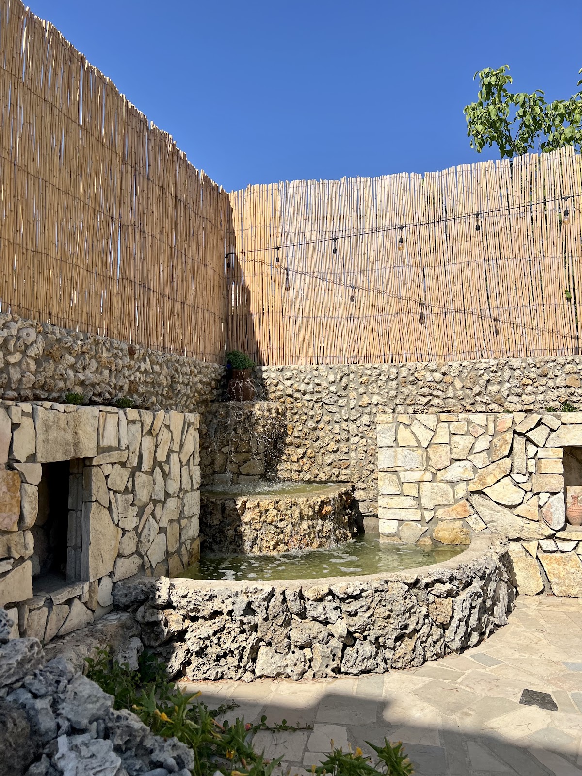 Reef Guesthouse — photograph 4