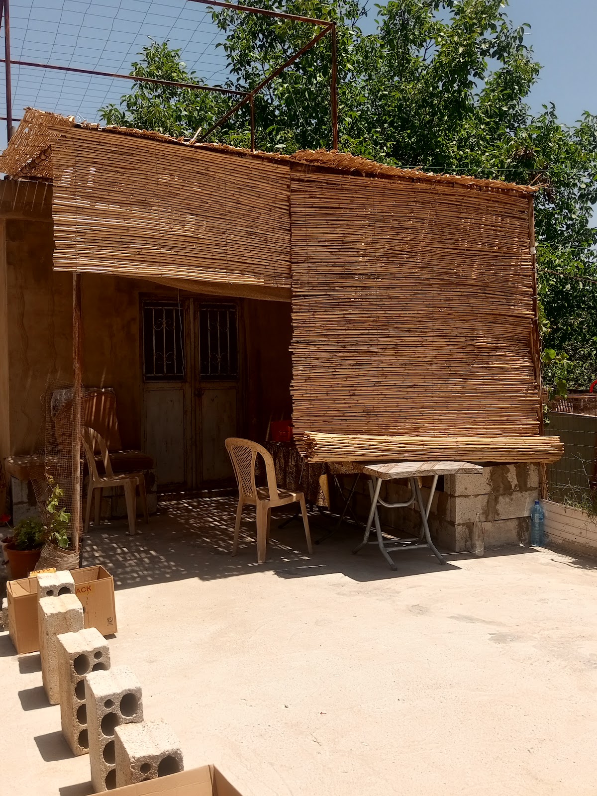 CAFE ABO ABASS — photograph 2