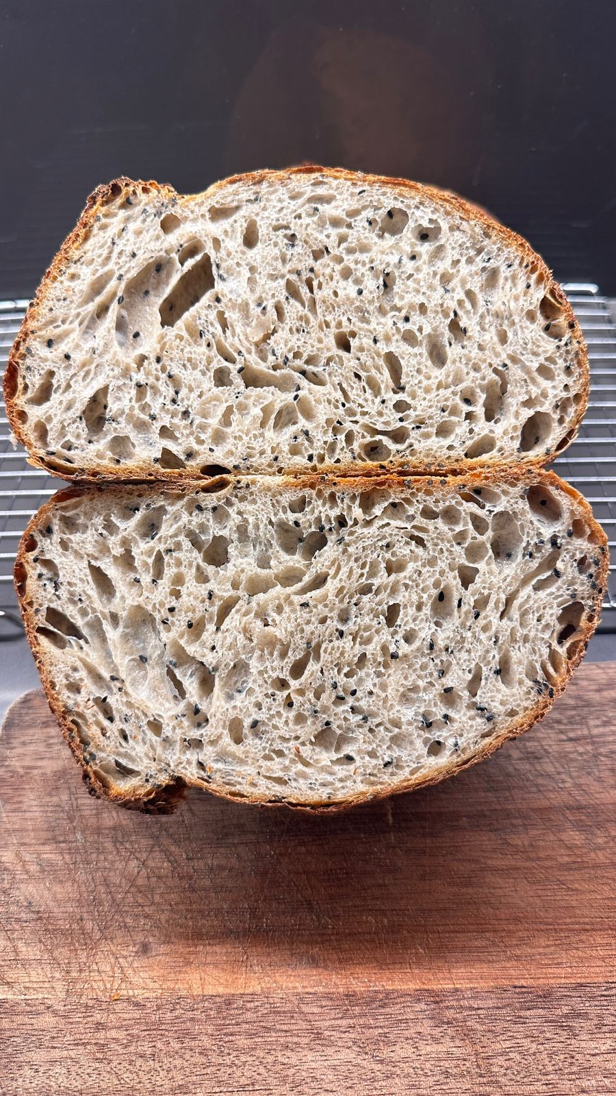 SourG Sourdough — photograph 4