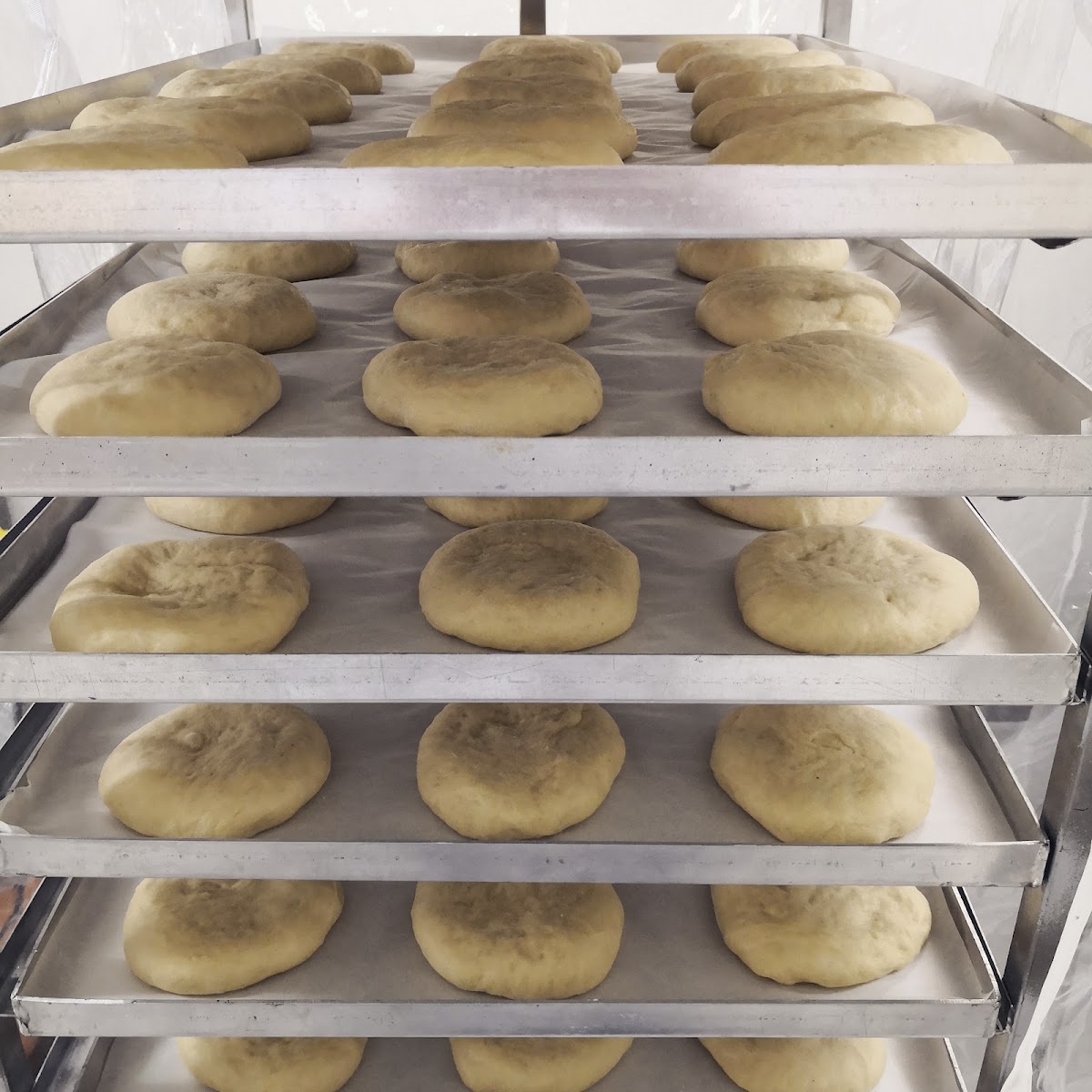 BREAD OF LIFE BAKERY — photograph 4
