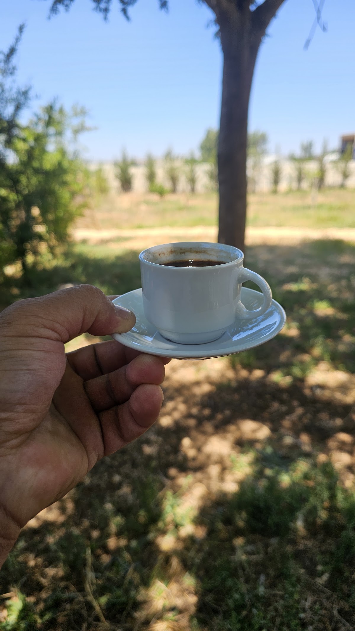 بحيرة عيون السمك بطرماز الضنية — photograph 4