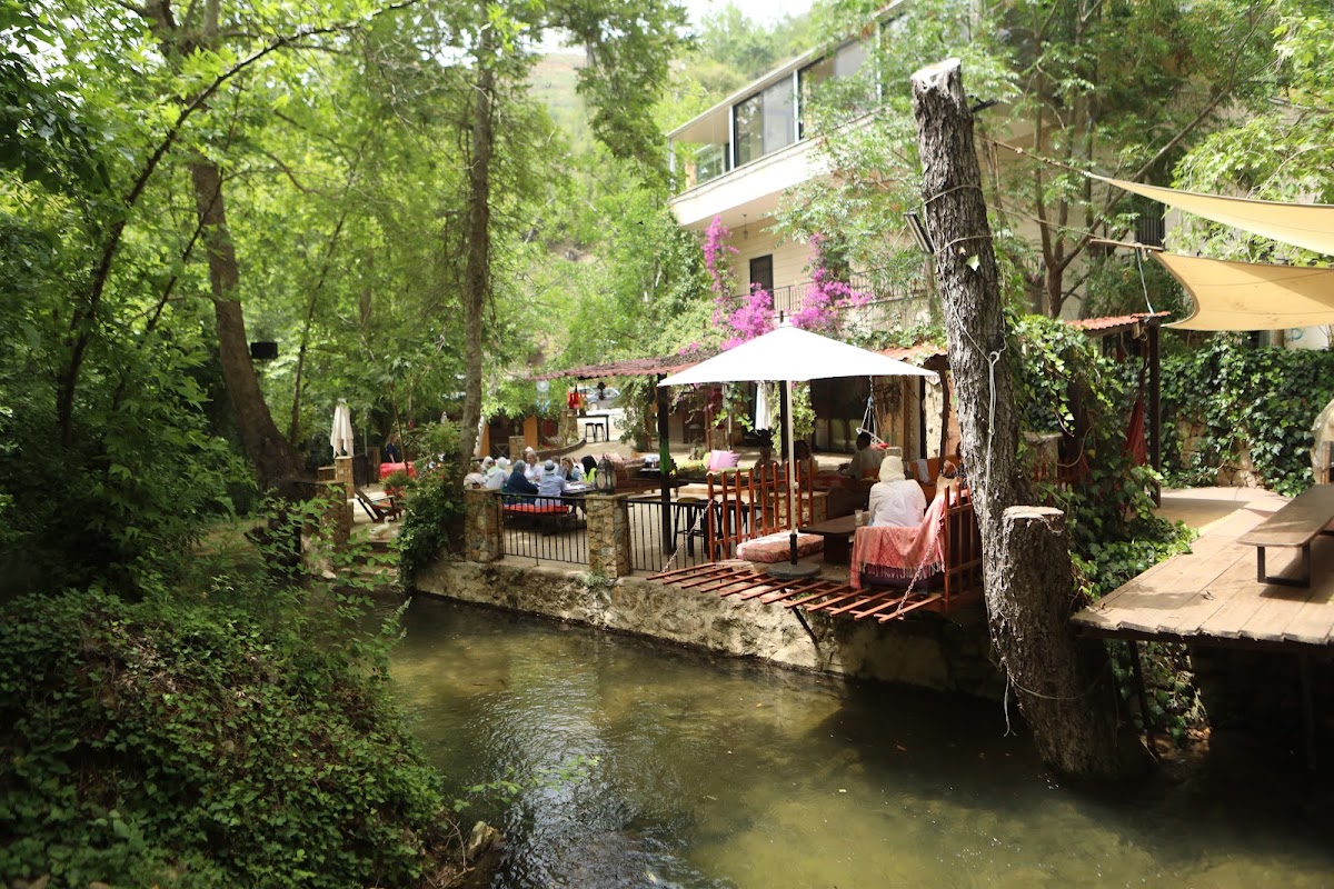 Restaurant Nomads — photograph 3