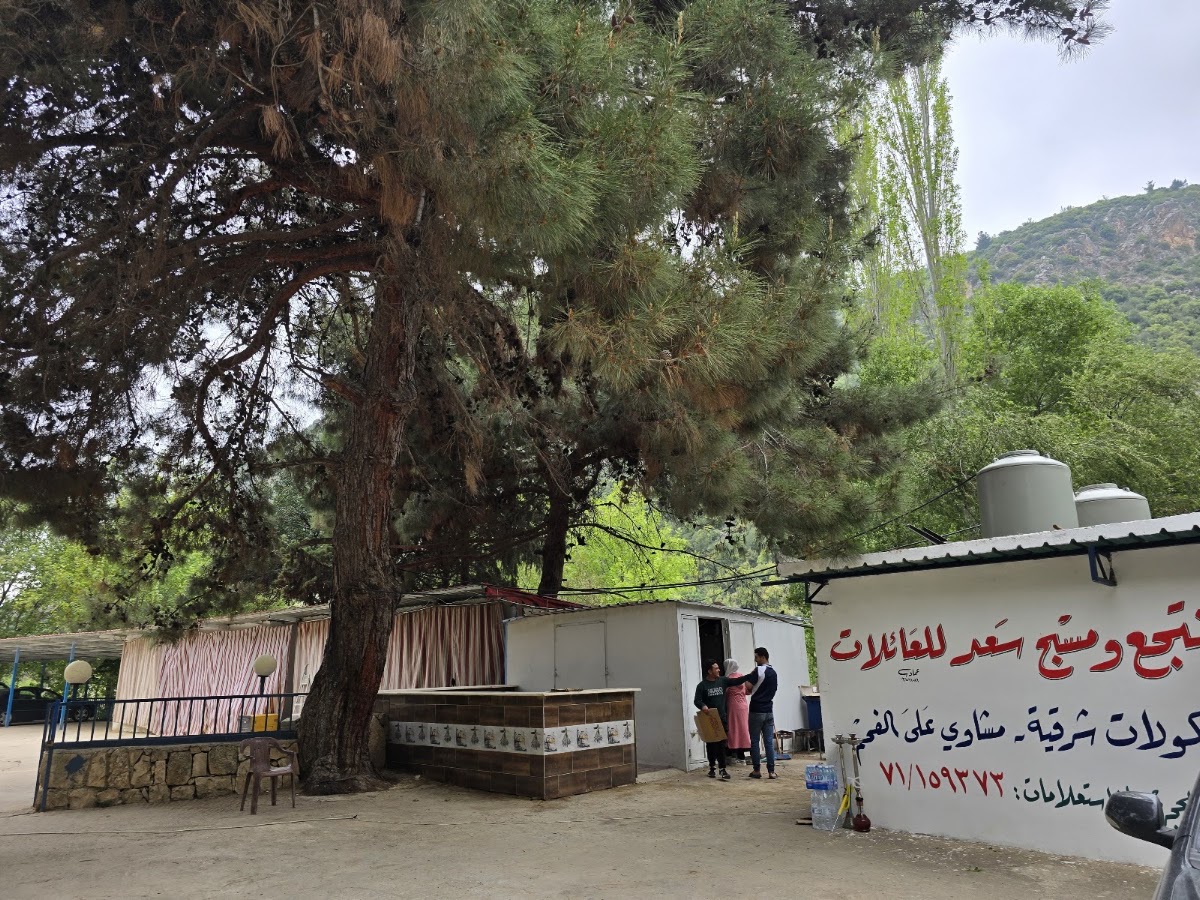 Montaja w Masbah Saad — photograph 4