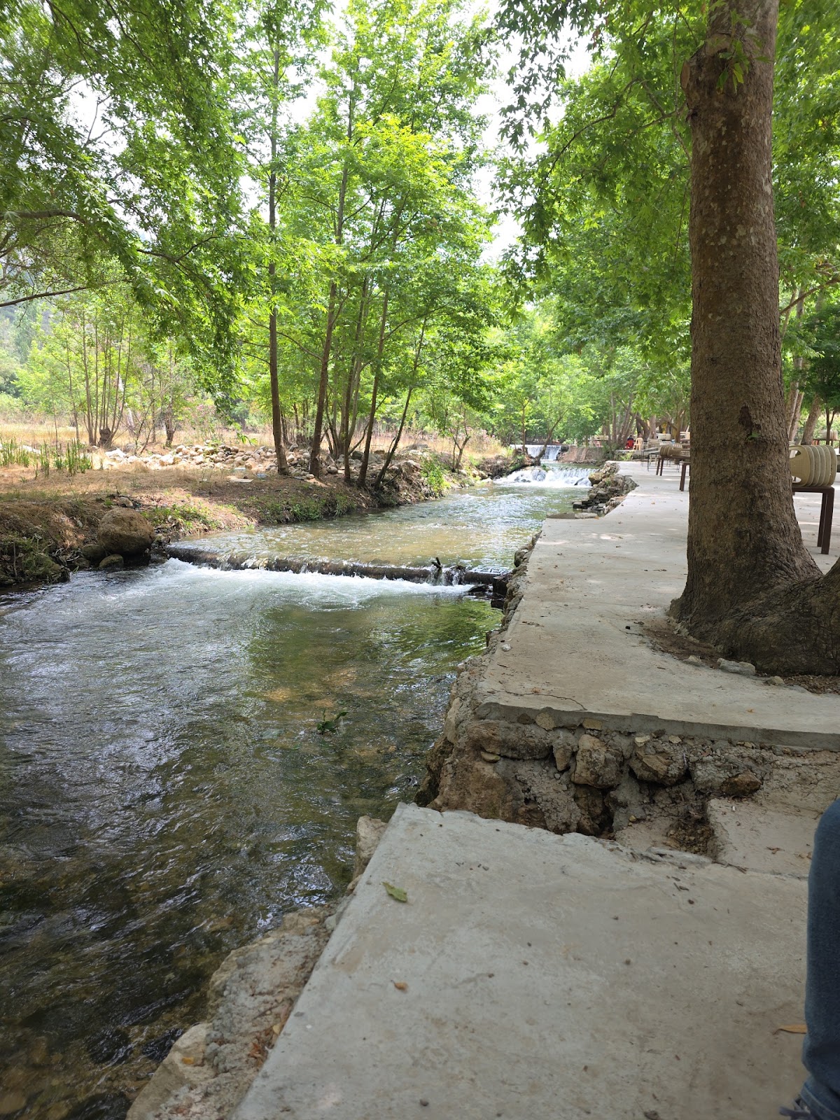 Montazah Oyoun Al Samak — photograph 5