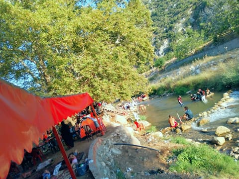Montazah Oyoun Al Samak — photograph 6