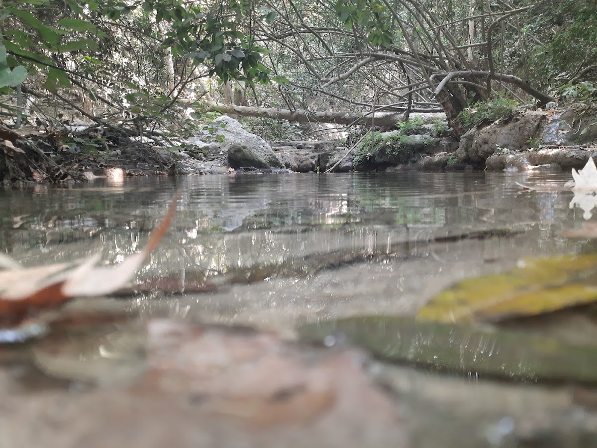 Nahr el Hammam Waterfalls — photograph 4