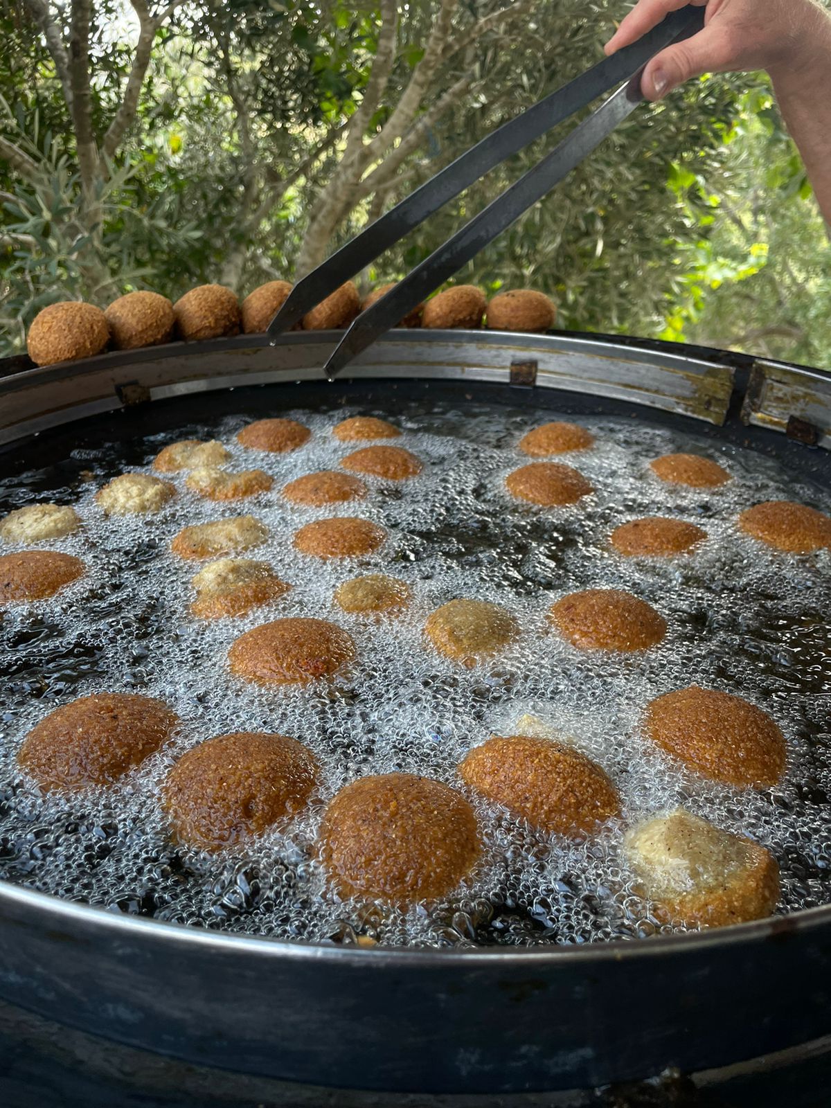 Falafel marwan