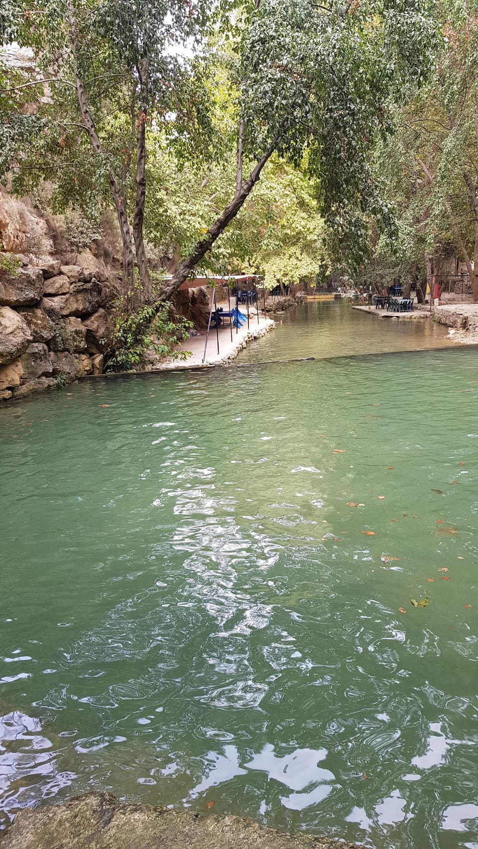 منتزه الجزيرة