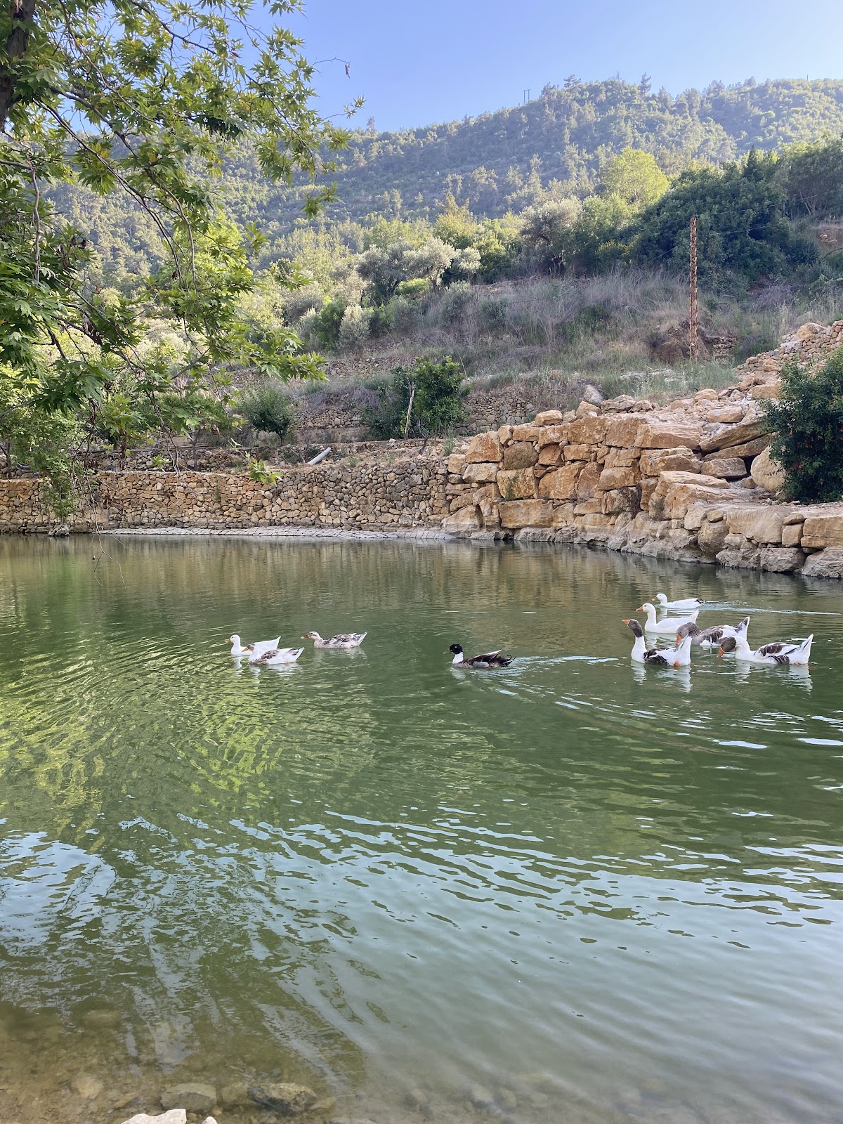 Riverside Jahliye — photograph 2