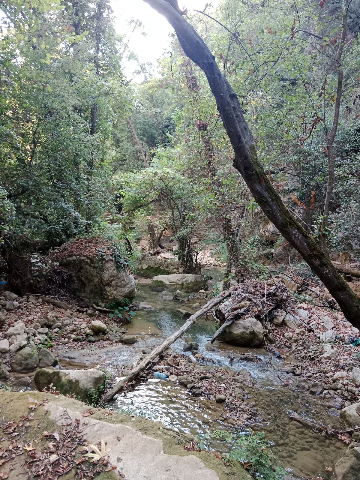 Serjbel Hiking — photograph 2