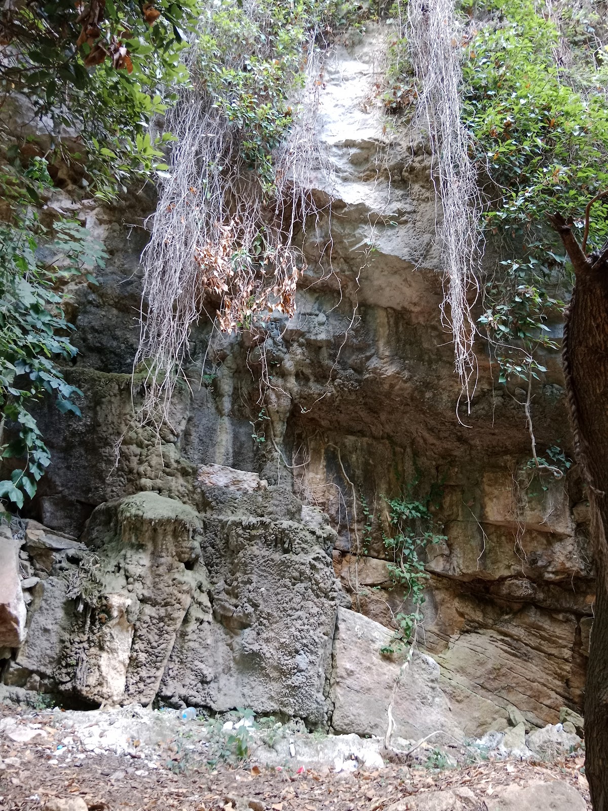 Serjbel Hiking — photograph 4