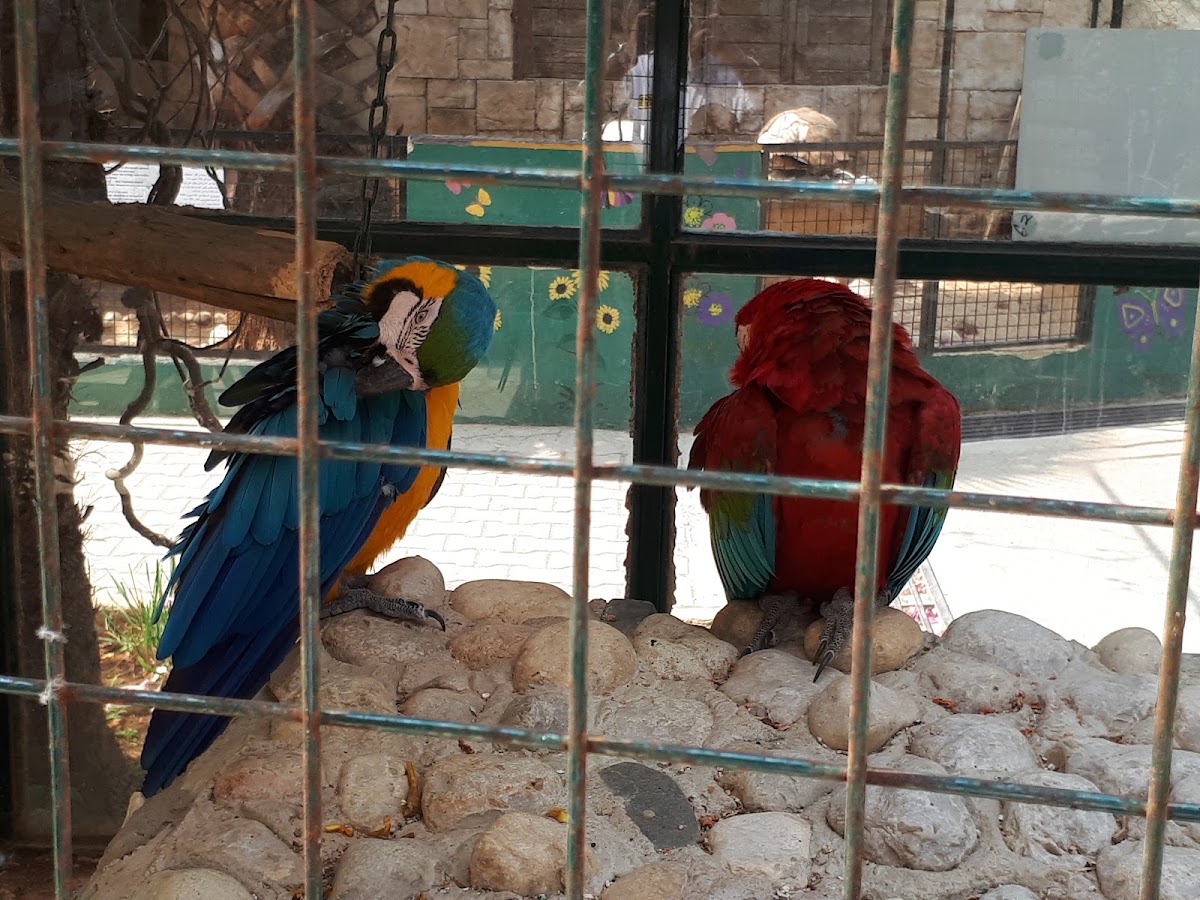 Jannat Al Wadi — photograph 5