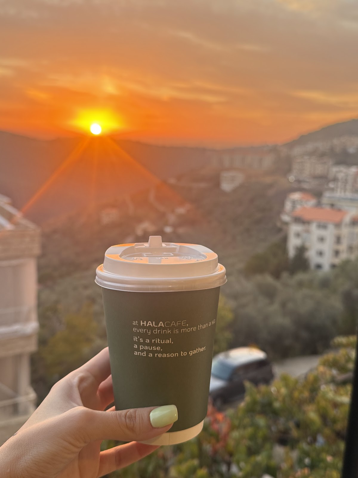 HALA CAFE — photograph 6
