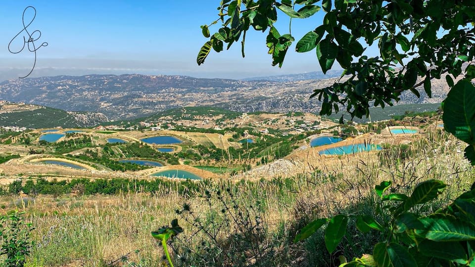 Al Majidiyyi