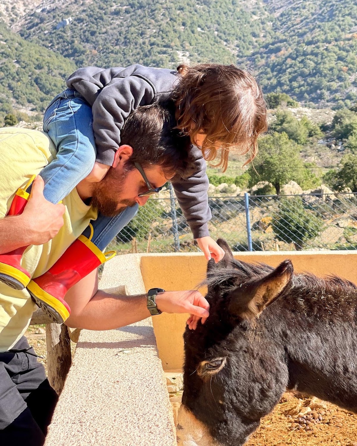 The Donkey Farm — photograph 2
