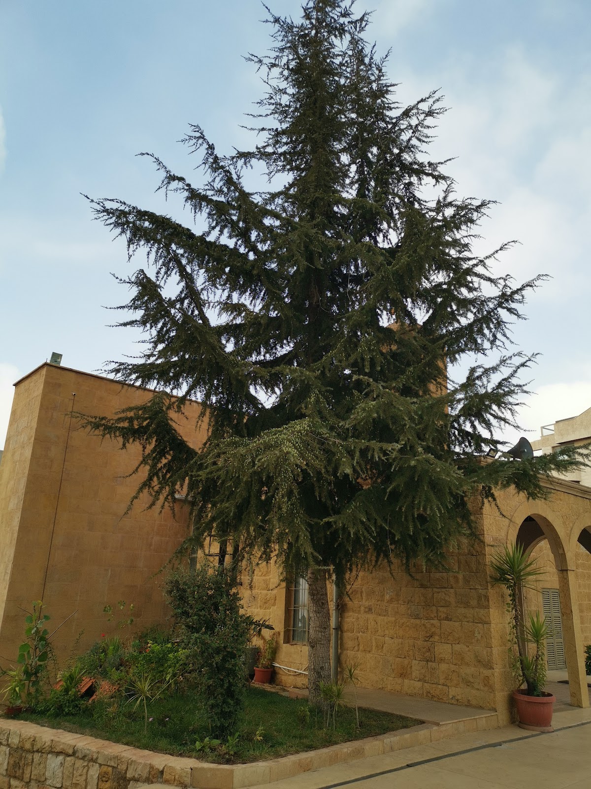 Our Lady of Deliverance Breij — photograph 6