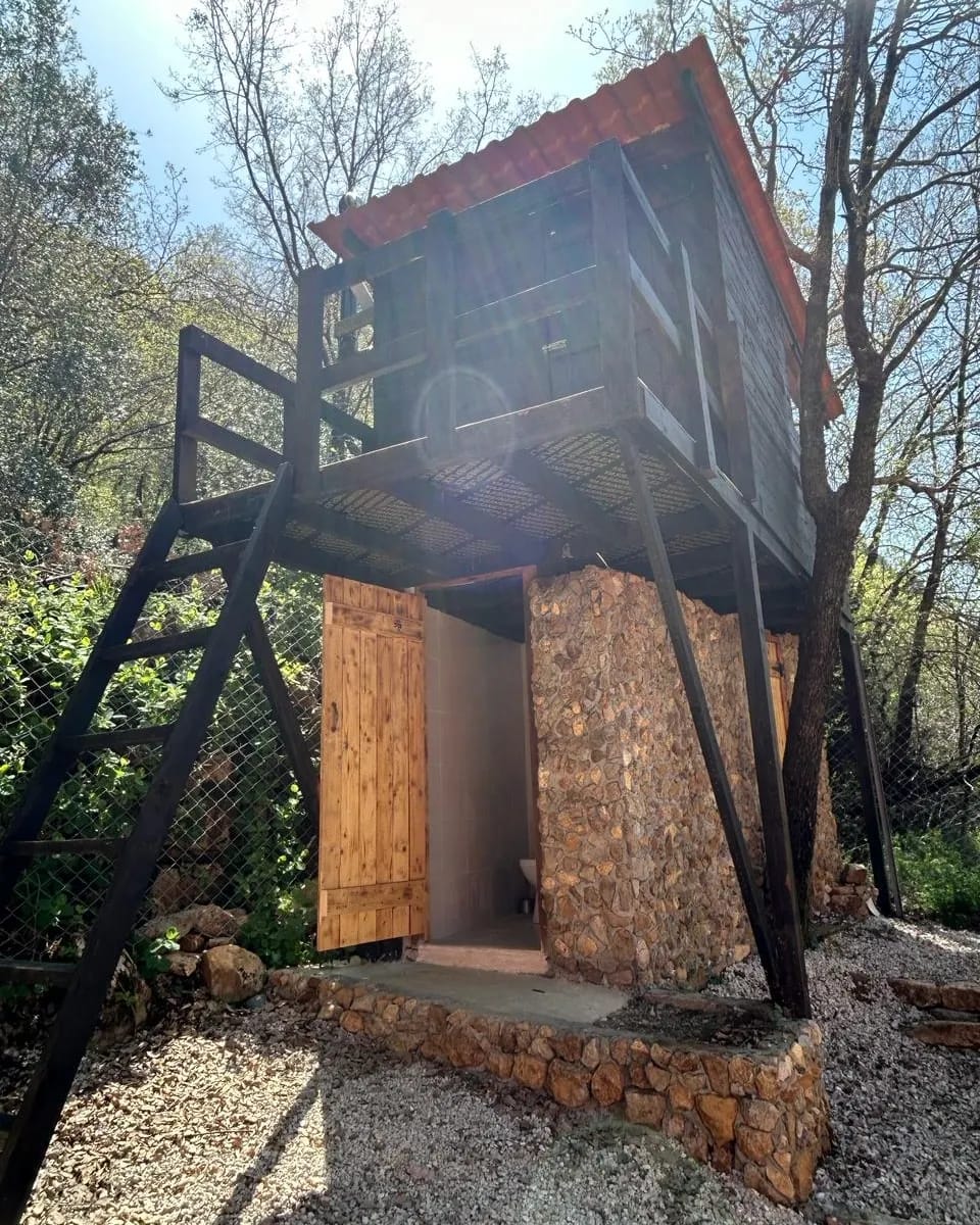 Satori Lebanon — photograph 2