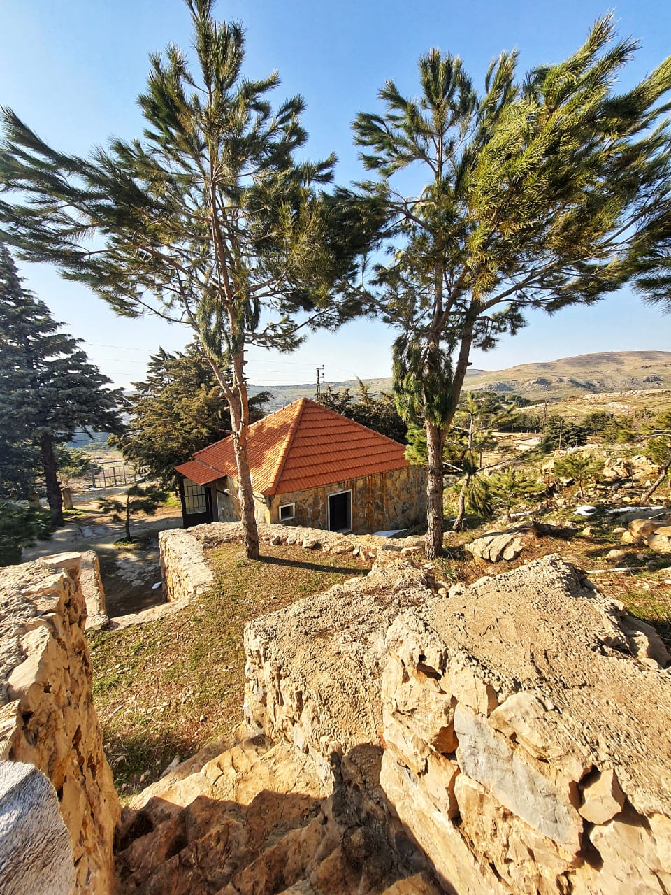 Mima Guest House