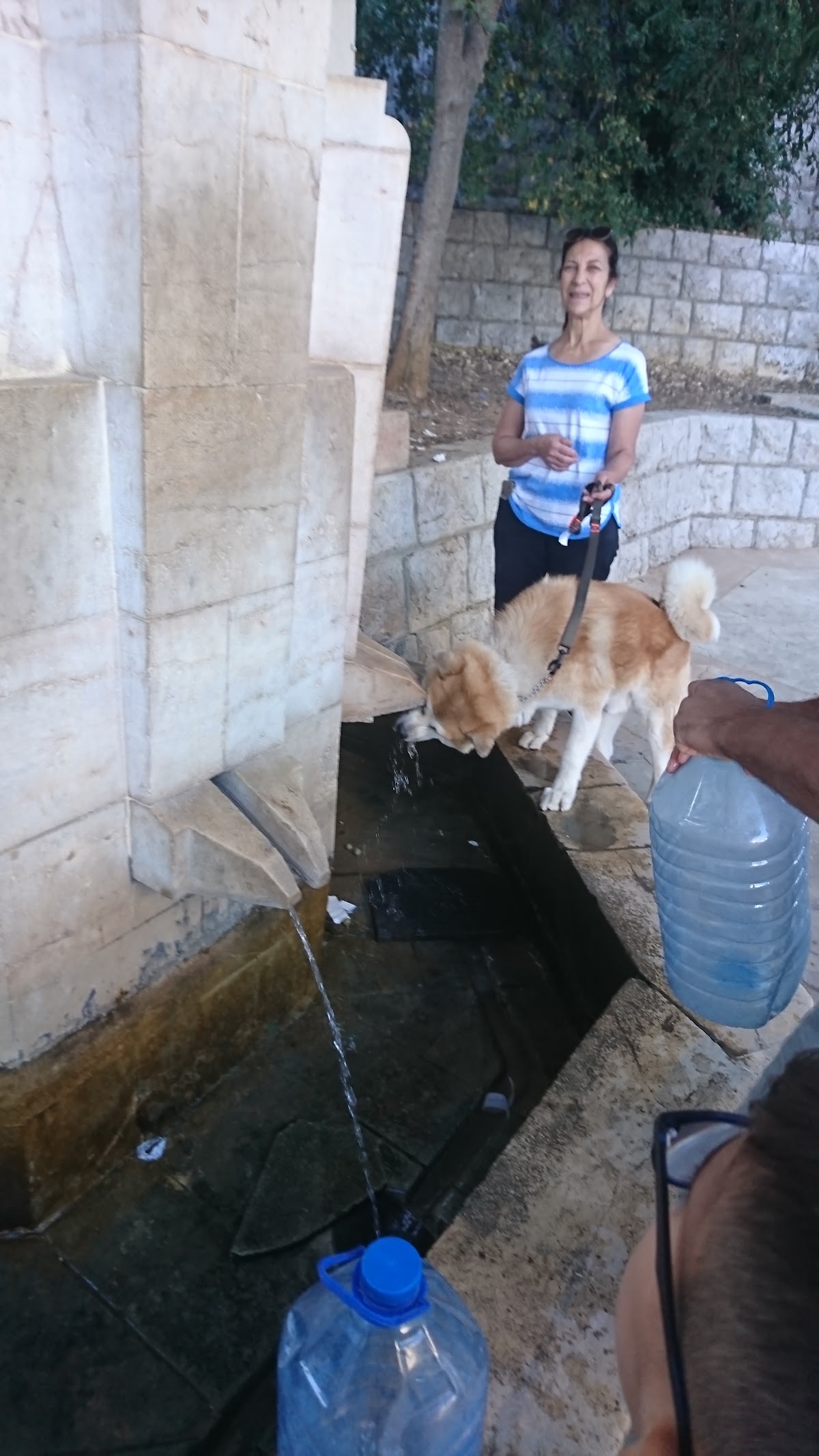 Ain Smaydieh - Water Source