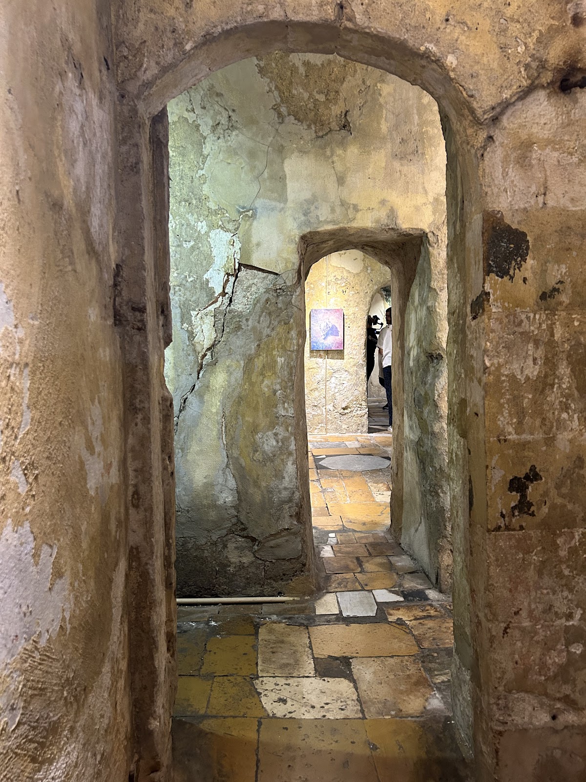 SHARQY — photograph 5