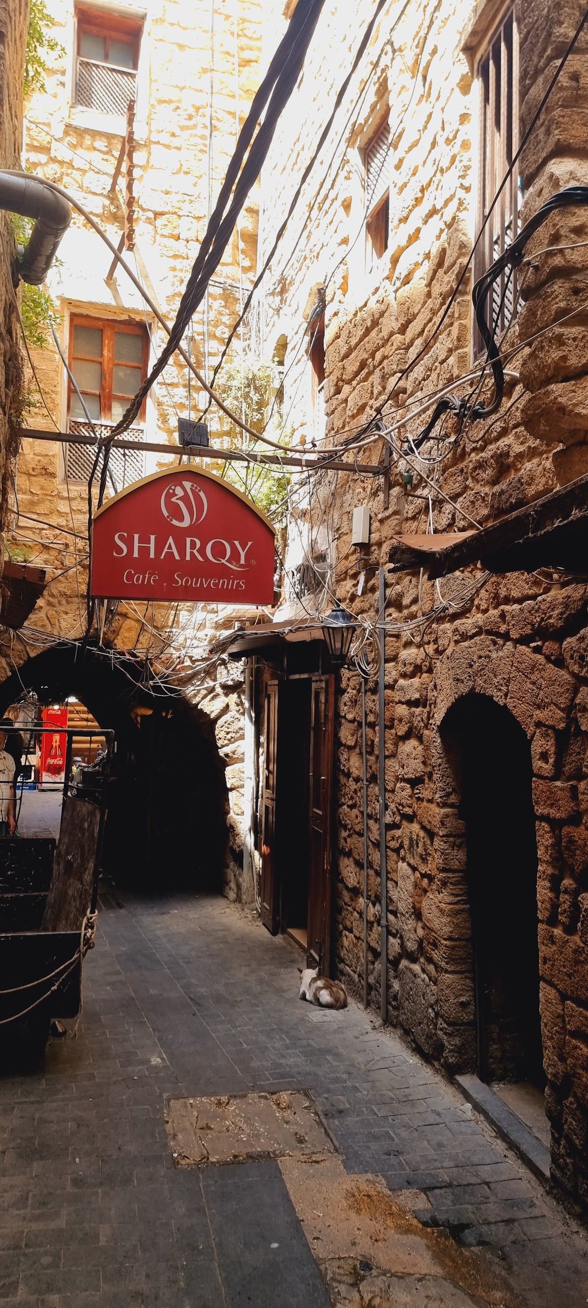 SHARQY — photograph 6