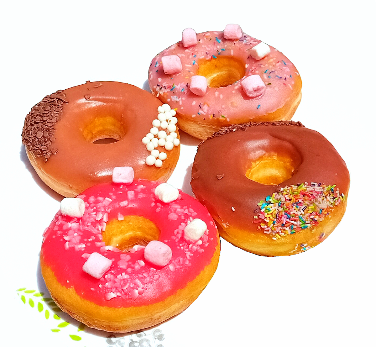My Little Donut — photograph 4