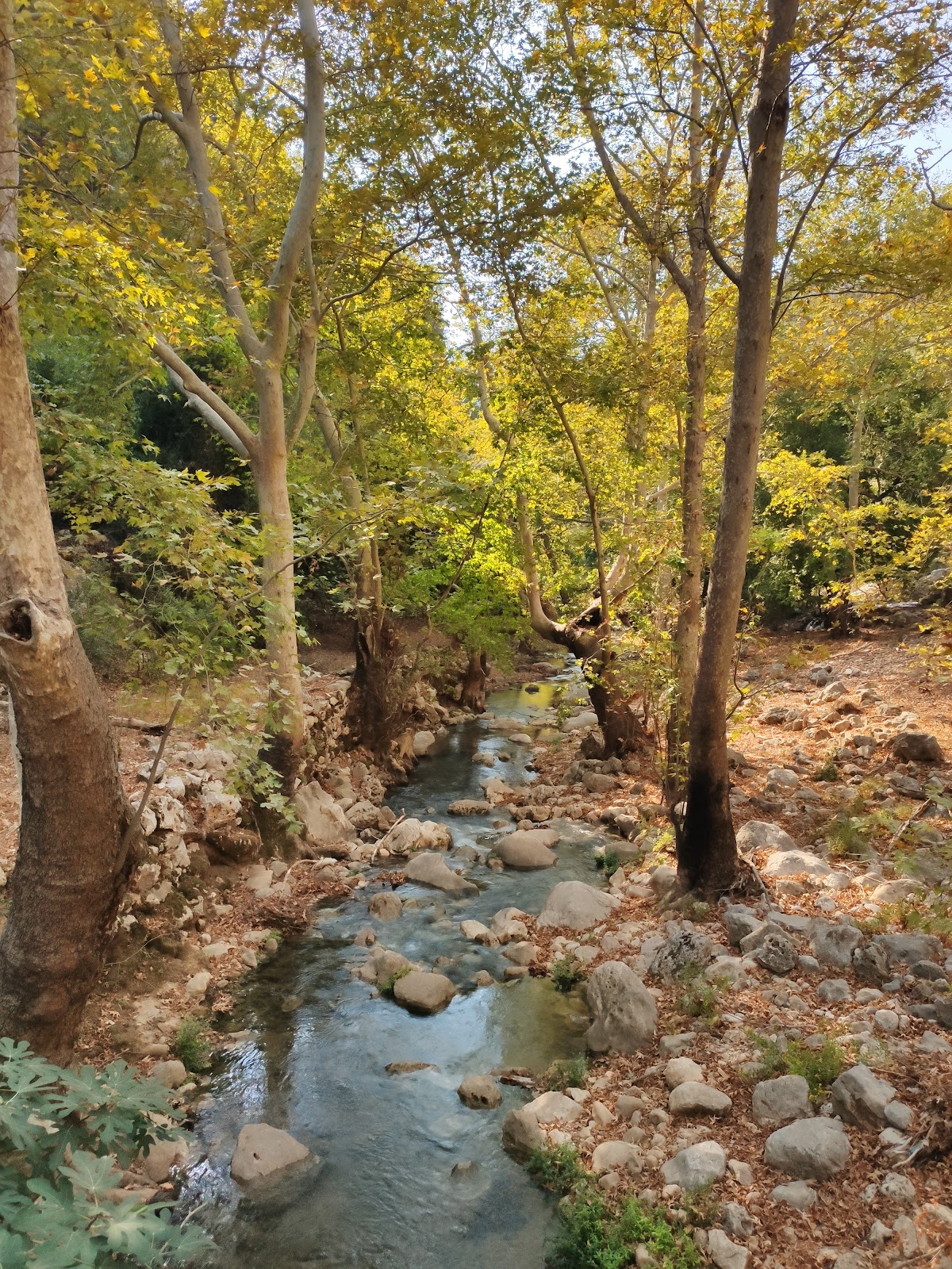 Naher ElJoz — photograph 2