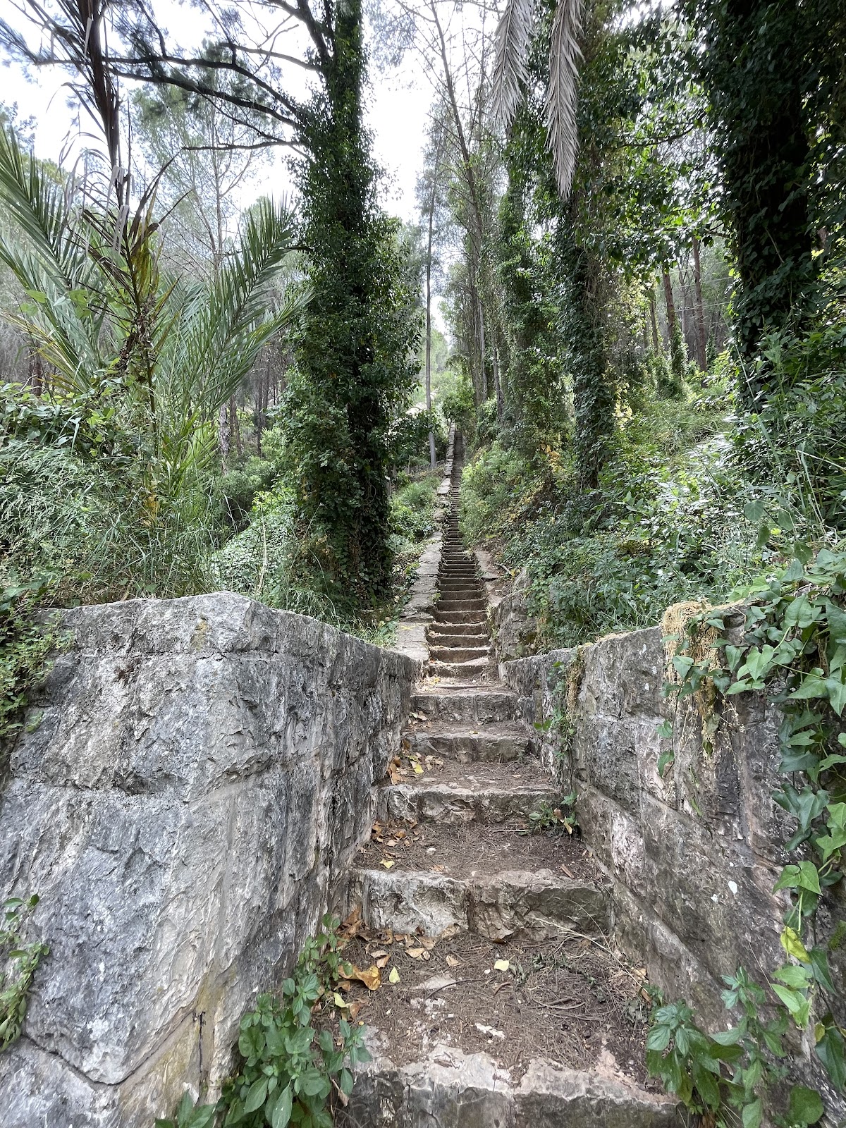 Naher ElJoz — photograph 3