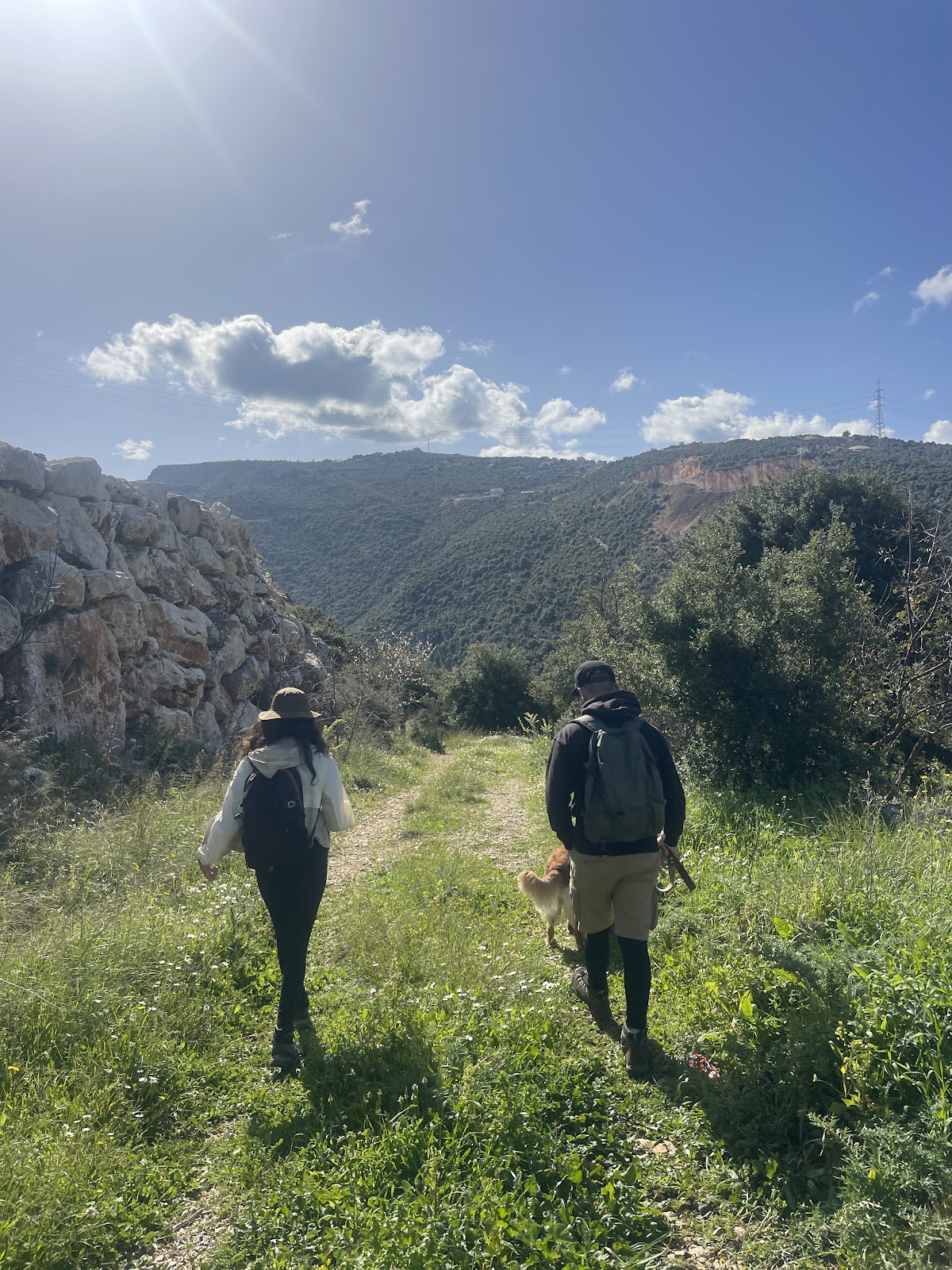 Naher ElJoz — photograph 4