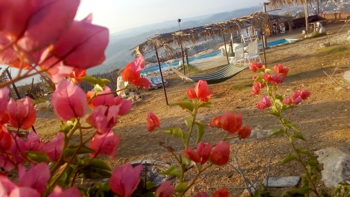 Koura Camping — photograph 4