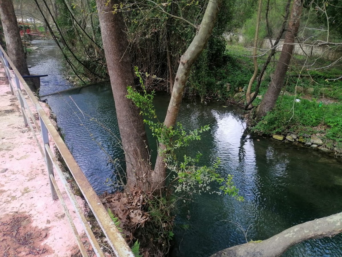 Pearl River — photograph 2