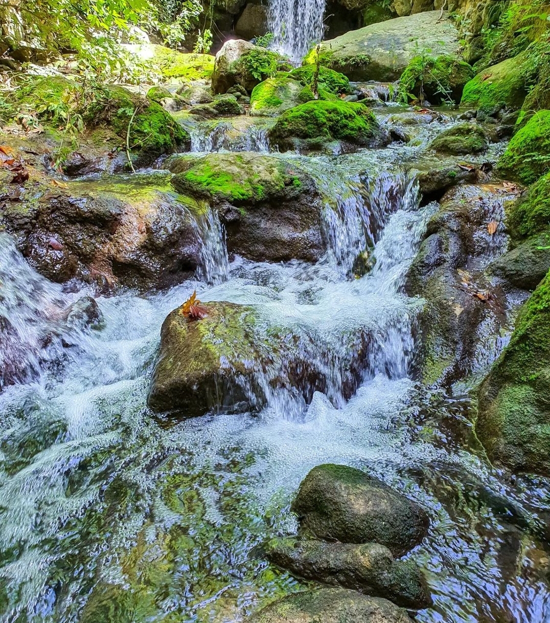 Terra Verde — photograph 2