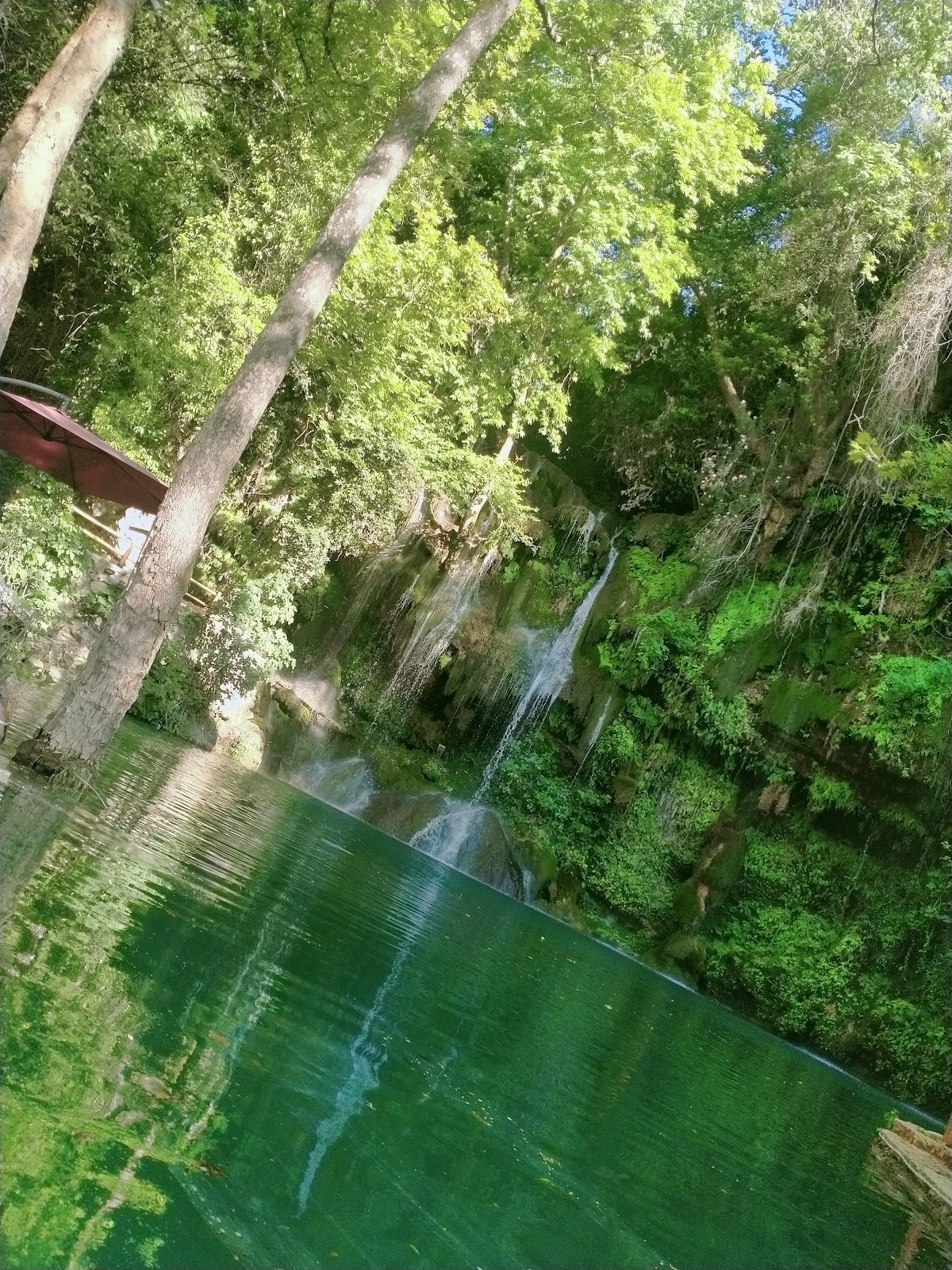 Terra Verde — photograph 3