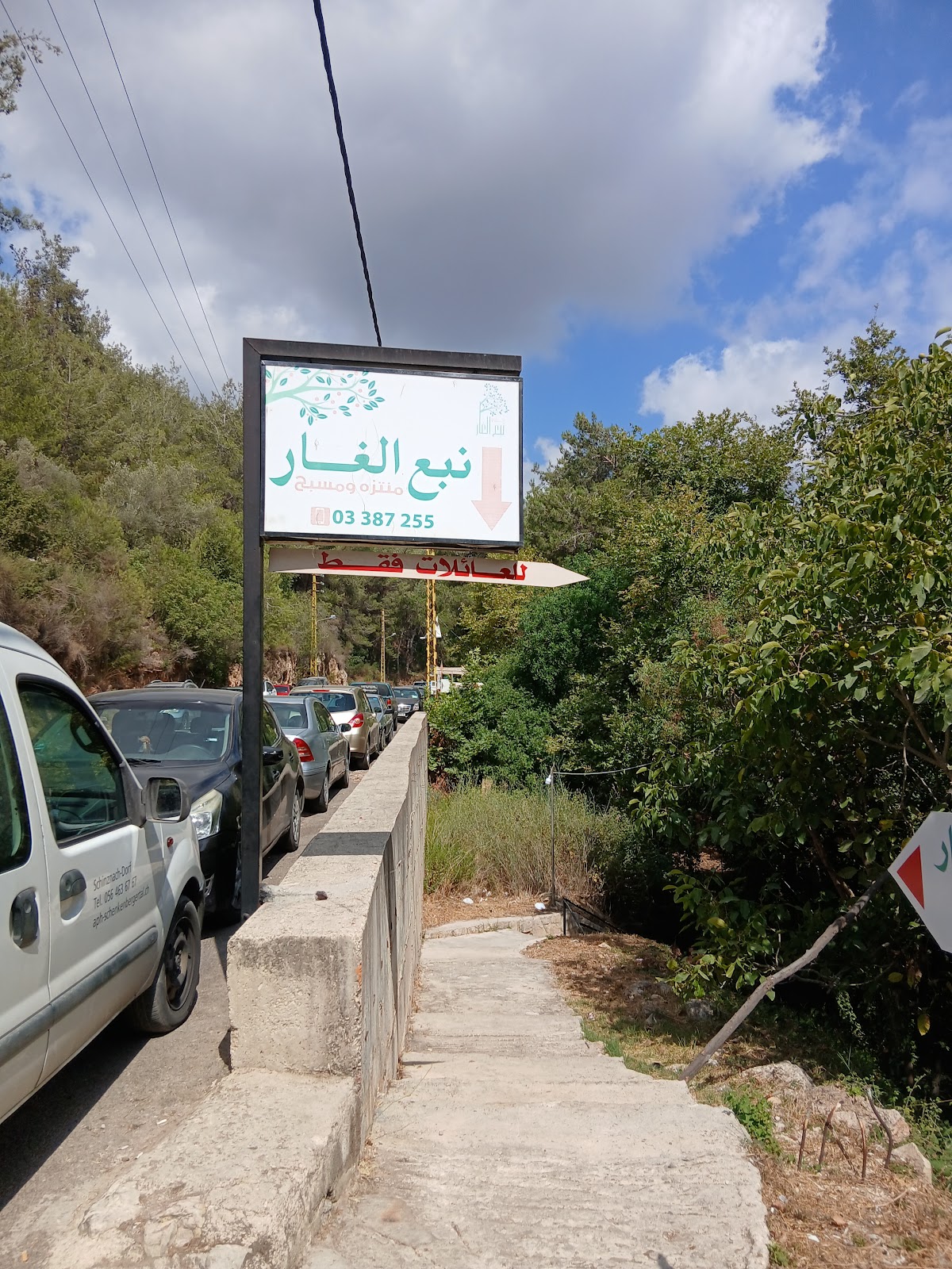 تينت آند تونيك — photograph 2